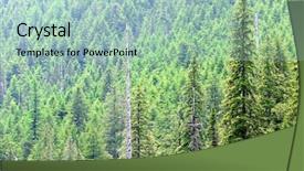  Presentation with spruce - Presentation theme featuring spruce-forest-in-the-glacier background and a light blue colored foreground