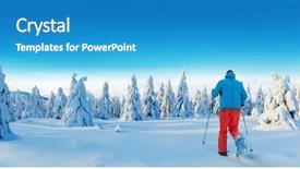  Presentation with winter forest - Cool new PPT layouts with spruce forest winter outdoor leasure backdrop and a teal colored foreground