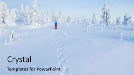  Presentation with winter forest - Amazing PPT layouts having spruce forest winter outdoor leasure backdrop and a light blue colored foreground