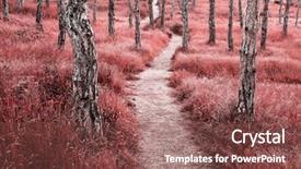  Presentation with nature art - Slide set consisting of spruce path road lane art background and a violet colored foreground