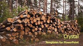  Presentation with spruce - Theme having spruce timber logging in forest background and a tawny brown colored foreground