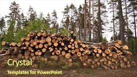  Presentation with timber harvest - Presentation theme with spruce timber logging in forest background and a tawny brown colored foreground