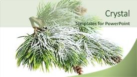  Presentation with snow tree - Slide deck consisting of spruce tree with fresh snow background and a mint green colored foreground