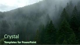  Presentation with autumn morning - PPT layouts with spruce-trees-in-morning-fog background and a wine colored foreground