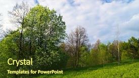  Presentation with hill - Colorful slide deck enhanced with spss - spring flowers on the hill backdrop and a  colored foreground