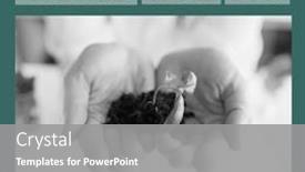  Presentation with woman world - PPT theme with square-image-of-world-soil background and a gray colored foreground