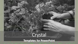  Presentation with earth day - Presentation theme with square-image-of-world-soil background and a gray colored foreground