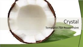  Presentation with coconut fruit - Audience pleasing slides consisting of square round - tropical fruit coconut isolated backdrop and a soft green colored foreground