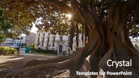  Presentation with park - Slide set enhanced with square squareroots - valencia la glorieta park big background and a tawny brown colored foreground