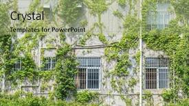  Presentation with house window - Amazing presentation design having square squareroots - window shutter with ivy backdrop and a mint green colored foreground