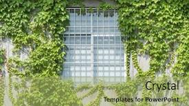  Presentation with house window - PPT theme enhanced with square squareroots - window shutter with ivy background and a mint green colored foreground