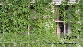  Presentation with house window - Slide deck with square squareroots - window shutter with ivy background and a seafoam green colored foreground