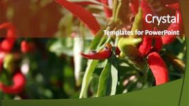  Presentation with stink - Theme enhanced with squash-bug-or-stink-bug background and a tawny brown colored foreground