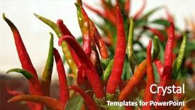  Presentation with stink - Presentation theme with squash-bug-or-stink-bug background and a tawny brown colored foreground