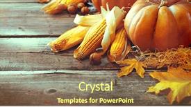  Presentation with happy thanksgiving - Colorful PPT theme enhanced with squash happy thanksgiving day background backdrop and a violet colored foreground