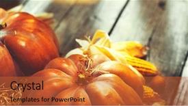  Presentation with happy thanksgiving - Audience pleasing presentation theme consisting of squash happy thanksgiving day background backdrop and a red colored foreground