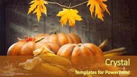  Presentation with happy thanksgiving - Slide deck consisting of squash happy thanksgiving day background background and a tawny brown colored foreground
