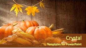  Presentation with festival - PPT theme enhanced with squash happy thanksgiving day background background and a tawny brown colored foreground