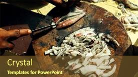  Presentation with thailand - Slide deck enhanced with squid-bait-of-fishing background and a tawny brown colored foreground