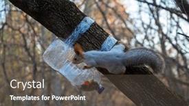  Presentation with branch - PPT theme featuring squirrel-eating-from-a-feeder background and a dark gray colored foreground