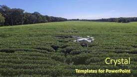  Presentation with black soybean - Presentation design having st-louis-missouri-august-24th background and a tawny brown colored foreground