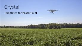  Presentation with soybean - Presentation design enhanced with st-louis-missouri-august-24th background and a light blue colored foreground