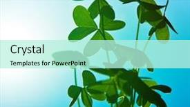  Presentation with abstract spring green - Cool new theme with st patrick s day - clover at blue sky green backdrop and a mint green colored foreground
