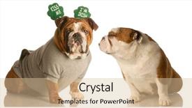  Presentation with sharing love - Presentation theme featuring st patricks day bulldogs sharing background and a lemonade colored foreground