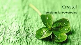  Presentation with green leaf - Audience pleasing slides consisting of st patricks day clover leaf backdrop and a mint green colored foreground