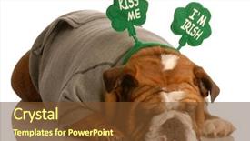  Presentation with english bulldog - Amazing presentation theme having m dia - st patricks day dog backdrop and a tawny brown colored foreground