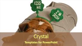  Presentation with english bulldog - Cool new PPT theme with m dia - st patricks day dog backdrop and a tawny brown colored foreground