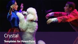  Presentation with circus show - 