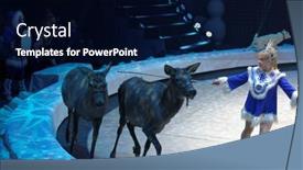  Presentation with circus show - 