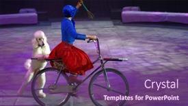  Presentation with circus show - 