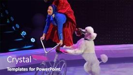  Presentation with circus show - 