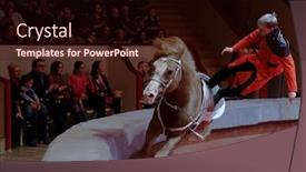  Presentation with circus - Presentation design featuring st-petersburg-russia-february-3 background and a wine colored foreground