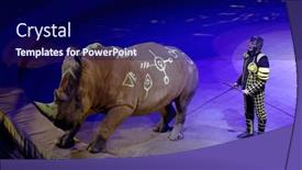  Presentation with circus - PPT layouts having st-petersburg-russia-february-3 background and a navy blue colored foreground