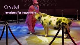  Presentation with light fire - 