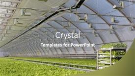  Presentation with russia city - 