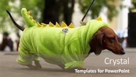  Presentation with russia city - 