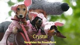  Presentation with russia city - Theme consisting of st-petersburg-russia-may-28 background and a tawny brown colored foreground