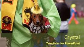  Presentation with russia city - 