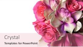  Presentation with pink wedding - Presentation theme enhanced with st-valentine-s-day-beautiful background and a coral colored foreground