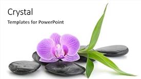  Presentation with zen stones - Presentation design having stability medicine - orchid and bamboo background and a white colored foreground