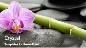  Presentation with spirituality zen meditation stone - Theme enhanced with stability medicine - zen basalt stones orchid background and a gray colored foreground