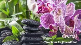  Presentation with zen stones - PPT layouts with stability medicine - zen basalt stones orchid background and a wine colored foreground