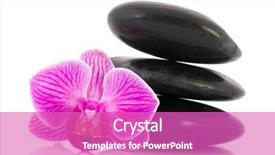 Presentation with hot pink white - Cool new presentation theme with stack black hot stones with pink orchid isolated over white background backdrop and a purple colored foreground