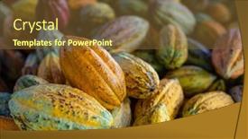  Presentation with cocoa pod - Slide deck enhanced with stack-of-colorful-ripe-cocoa background and a  colored foreground