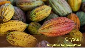  Presentation with cocoa pod - PPT layouts consisting of stack-of-colorful-ripe-cocoa background and a tawny brown colored foreground