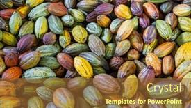  Presentation with cocoa pod - PPT theme having stack-of-colorful-ripe-cocoa background and a  colored foreground